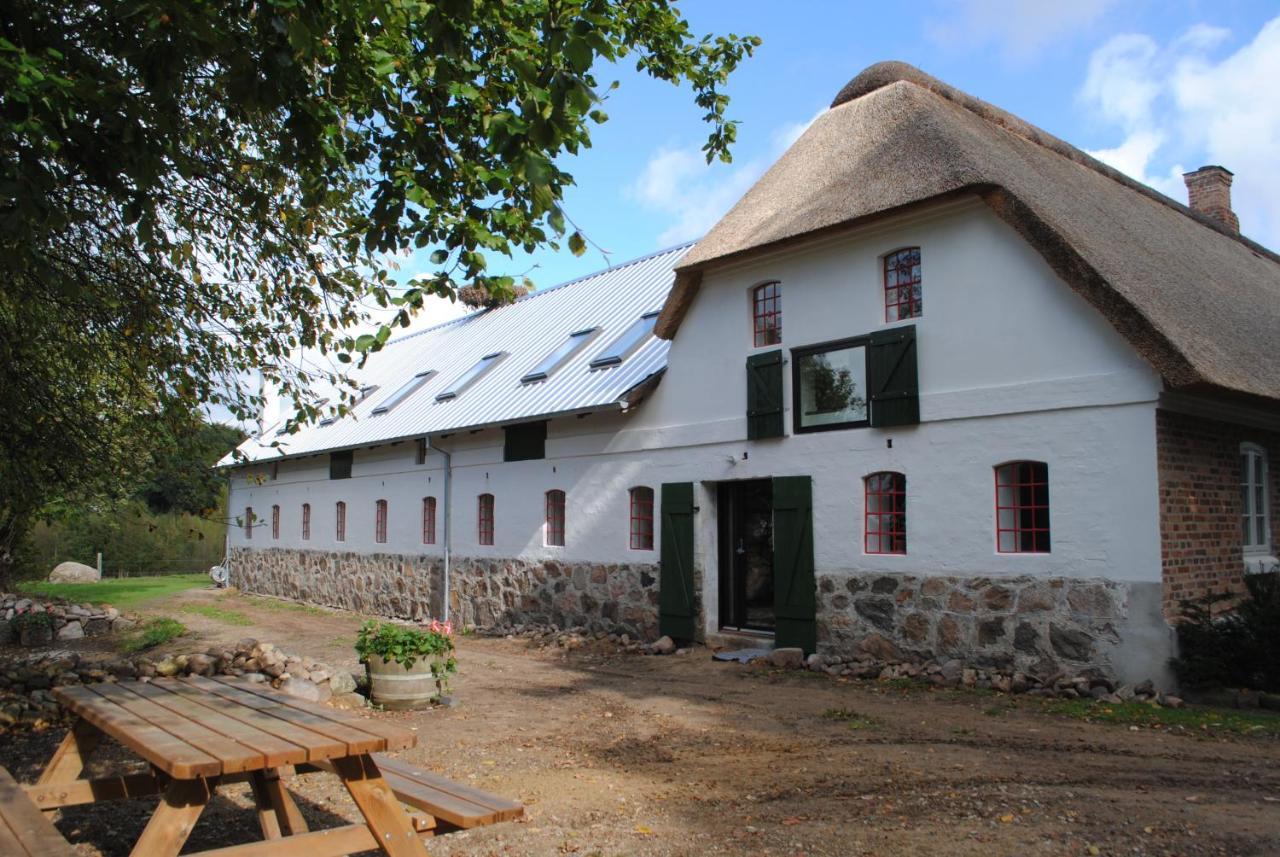 Hesselhogaard Bed & Breakfast 格林斯泰兹 外观 照片