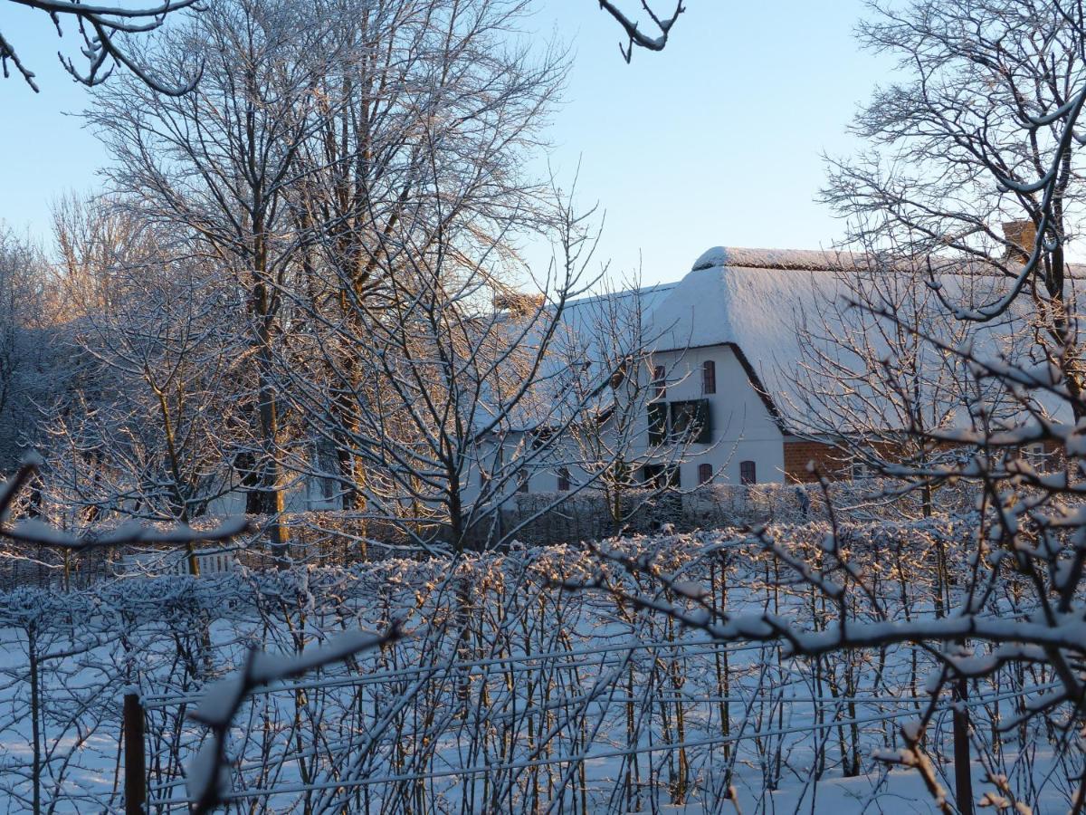 Hesselhogaard Bed & Breakfast 格林斯泰兹 外观 照片